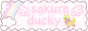 sakuraducky button