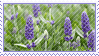 Hellooooo! Could you make some lavender stamps please? Both the flower and the color. Thank you <3