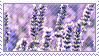 Hellooooo! Could you make some lavender stamps please? Both the flower and the color. Thank you <3