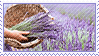 Hellooooo! Could you make some lavender stamps please? Both the flower and the color. Thank you <3