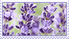 Hellooooo! Could you make some lavender stamps please? Both the flower and the color. Thank you <3
