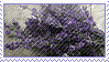 Hellooooo! Could you make some lavender stamps please? Both the flower and the color. Thank you <3