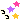 multicolors