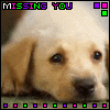 100 x 100 puppy icons i found!