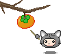 Moji Blackcat kaoani