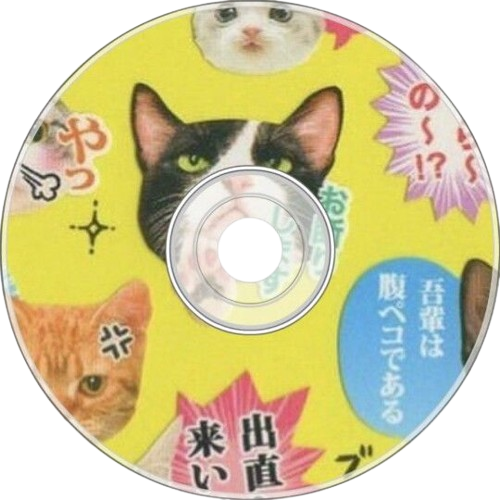 CD