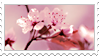 various stamps of a high level of aesthetic visual value